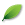 Organic Themes